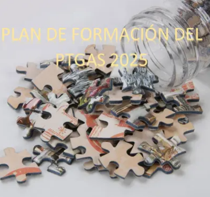 Plan de Formación del PTGAS 2025